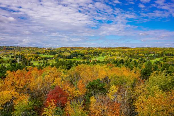 Colorful Autumn trees overlooking golf course in Duluth Minnesota stock photo