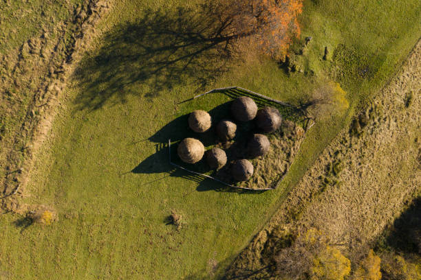 istock Group of autumn haystacks in a meadow, aerial view 1283720159