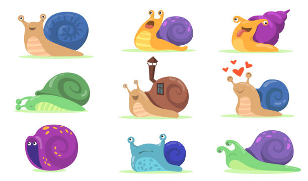 illustrazioni stock, clip art, cartoni animati e icone di tendenza di divertente set piatto di personaggi lumaca per il web design - snail escargot animal speed