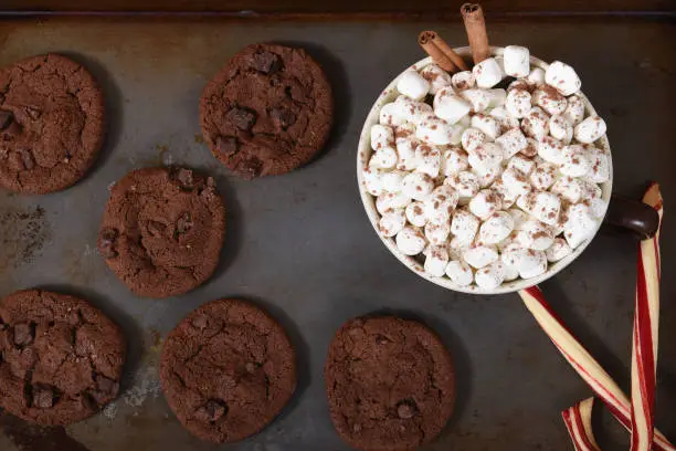 A cookie sheet with chocolate cookies, candy canes and a mug of hot chocolate with marshmallows.