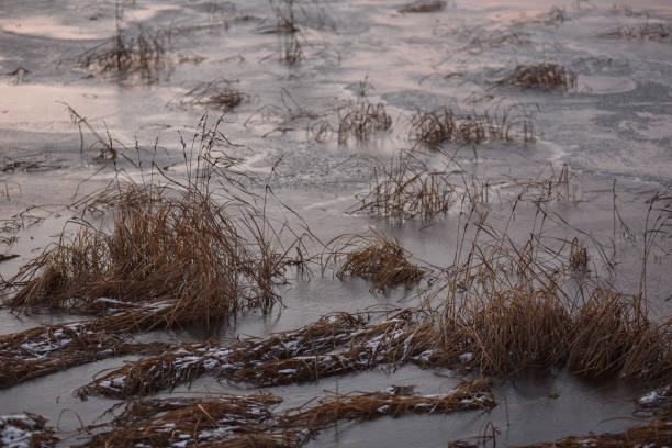 istock Lake by the late autumn 1283722563
