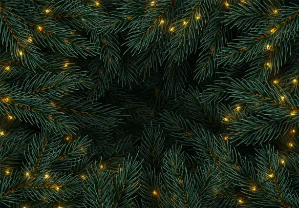 Vector illustration of Christmas tree branches. Festive Xmas border of green branch of pine. Pattern pine branches, spruce branch. Glowing New Year golden garland, space for text. Realistic design decoration elements.