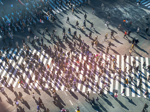 Busy Shibuya Pedestrian Crossing From Above