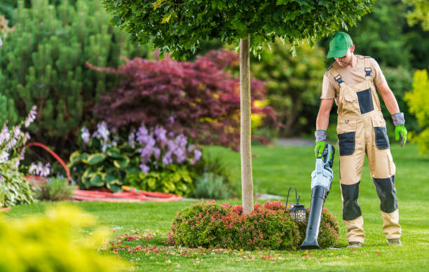 istock Men with Leaf Blower Cleaning Backyard Garden 1283724778