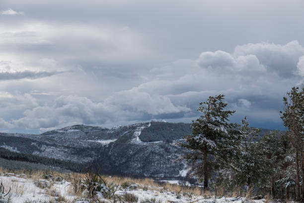 istock Snowy winter landscape on the mountain with snowy pine trees around. 1283725342