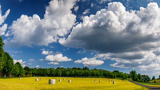 Field with harvested bales surrounded by plastic with country road and wide clouds in sky. Taken in Bugey mountains, in Ain, Auvergne-Rhone-Alpes region in France European Alps during a sunny spring day.