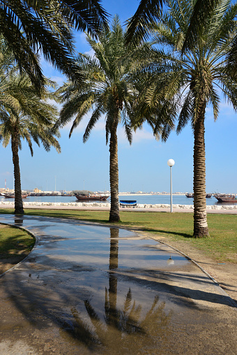 Al Qatif - parque frente al mar a lo largo de Khaleej Road, Provincia Oriental, Arabia Saudita photo