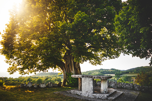 Old lime tree with beautiful trunk, stone table and bright sunset giving a mystical atmosphere. Taken in village of Innimond in Bugey mountains, in Ain, Auvergne-Rhone-Alpes region in France in spring.