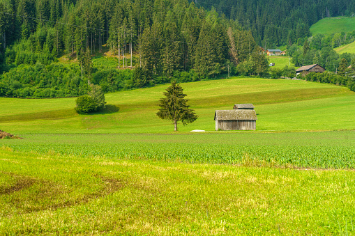 Cycleway of Pusteria Valley, Bolzano province, Trentino Alto Adige, Italy. Mountain landscape at summer. View of Villabassa