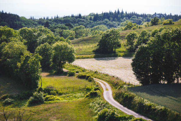 Countryside trail in Ardennes from belgium by cloudy day