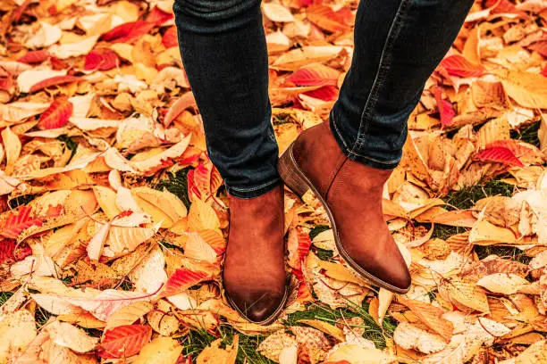 Womanâs legs in brown leather ankle boots and dark blue jeans outdoor on the colorful autumn leaves background. Female casual seasonal fashion and footwear. Free copy (text) space.