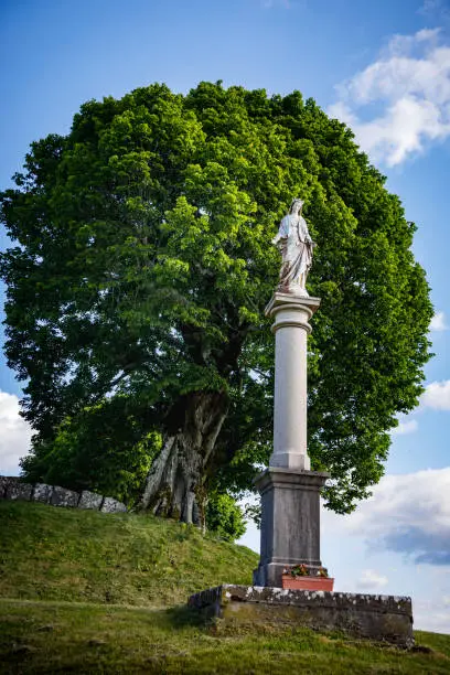 Virgin Mary statue with very old lime tree on top of the hill near small village of Innimond in Bugey mountains, in Ain, Auvergne-Rhone-Alpes region in France European Alps during a sunny spring day.