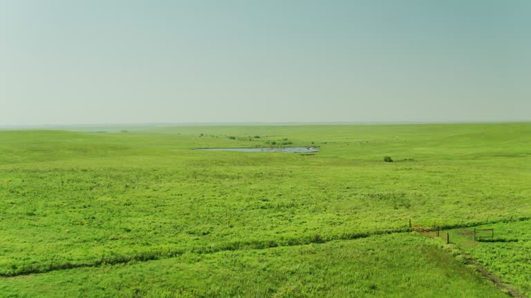 Drone Flight Over Lush Kansas Grassland