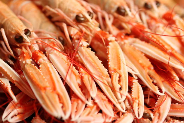 istock Group of scampis with claws close-up. 1283731916