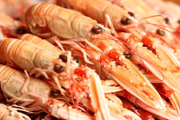 Served boiled langoustines, scampi with lemon and melted butter with herbs close-up on a plate on a table.