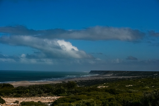 trying to spot Whales at the massice cliffs of Nullabor