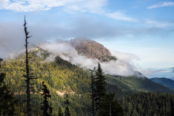 istock Landscape of Hurricane Ridge 1283734552