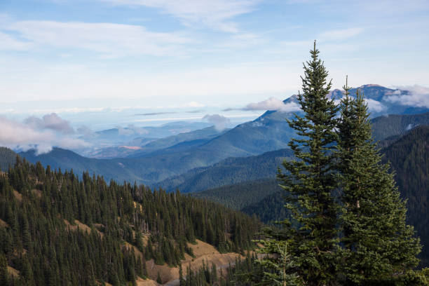 istock Landscape of Hurricane Ridge 1283734701