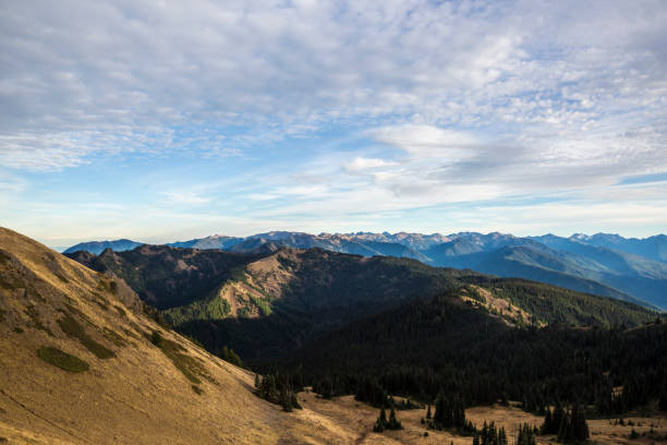 istock Landscape of Hurricane Ridge 1283734749