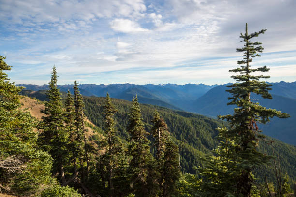 istock Landscape of Hurricane Ridge 1283734753