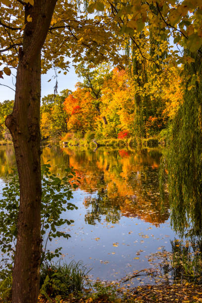 istock Autumn colors in the park 1283737712