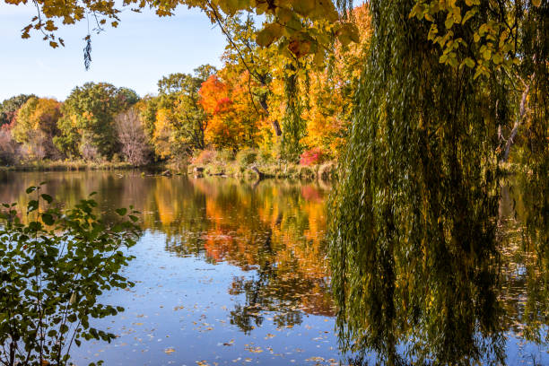 istock Autumn colors in the park 1283737862