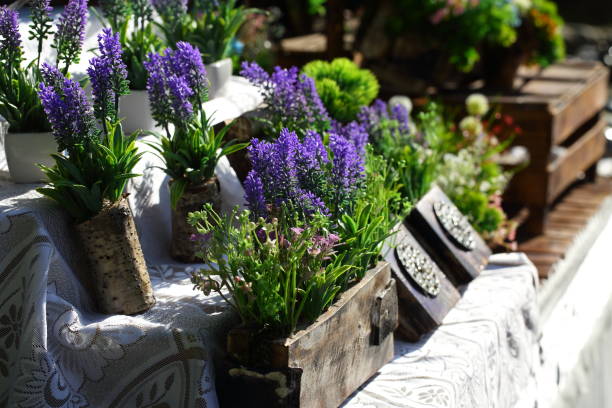 istock Artificial lavender in wooden crates 1283738691