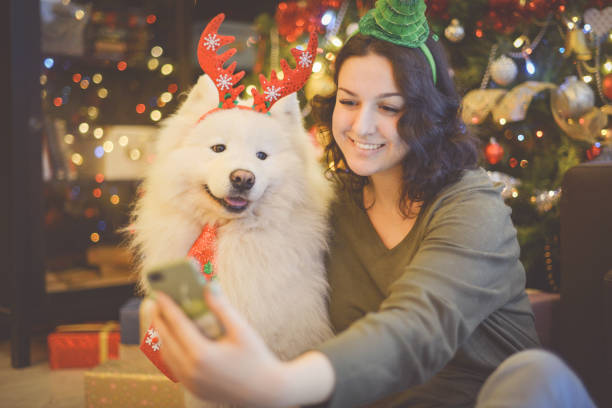 istock Woman and Samoyed dog in home interior ( christmas) 1283738767