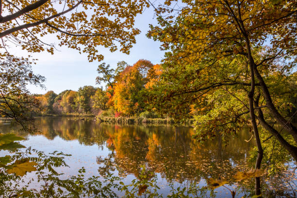 istock Autumn colors in the park 1283738775