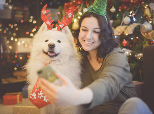 istock Woman and Samoyed dog in home interior ( christmas) 1283739074