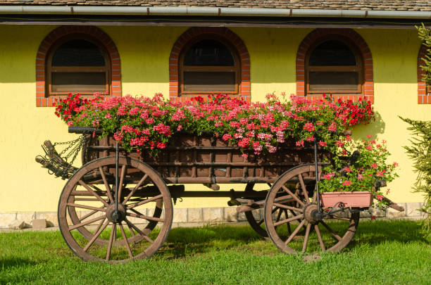 istock Flowers in a garden chart 1283739288