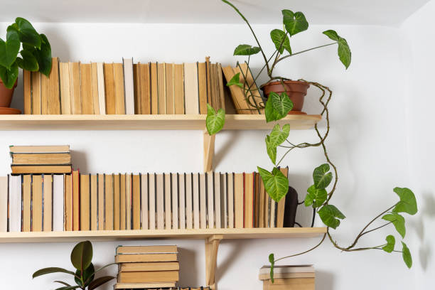 istock Indoor flowers on the bookshelves 1283740597