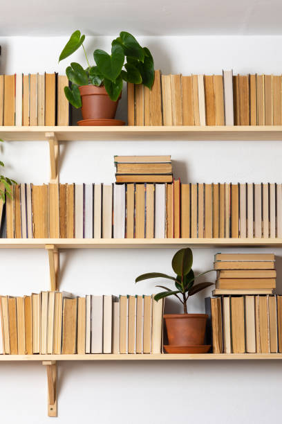 istock Indoor flowers on the bookshelves 1283740598