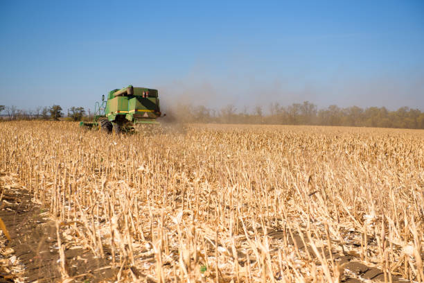 istock Combine harvester in wheat field on autumn day. 1283741857