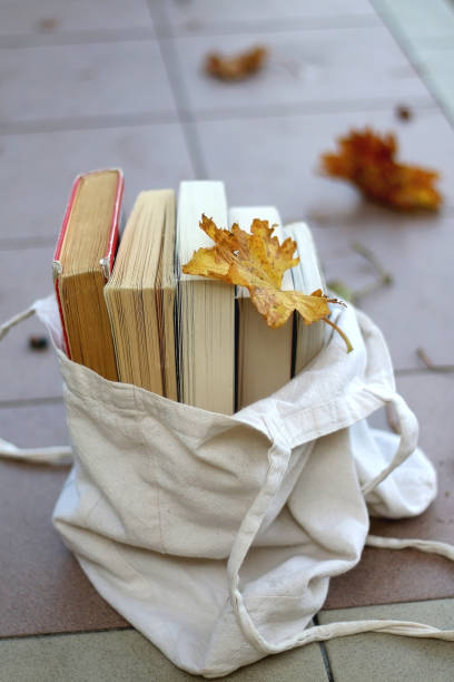 istock Bag of Books 1283742687