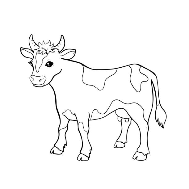 Cute Cartoon Cow For Coloring Page Or Book Black And White Vector 10 Eps  Illustration Of Farm Animal Character Stock Illustration - Download Image  Now - iStock