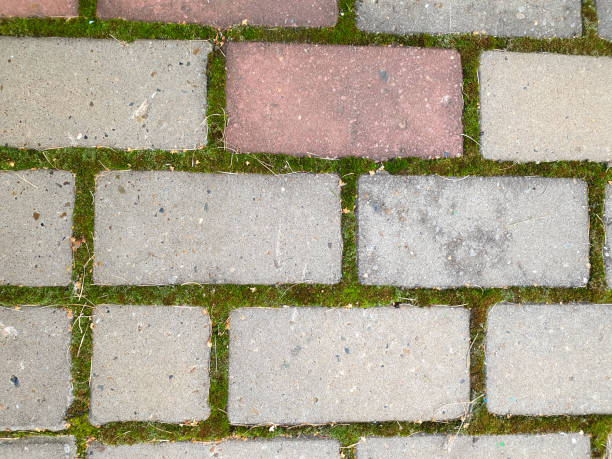 istock paving stones. grass grows between the paving stones 1283746649