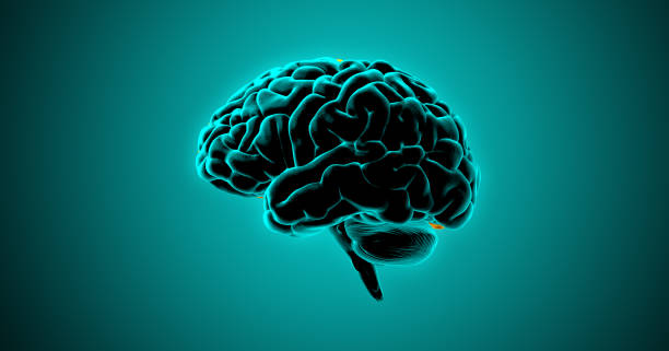 istock 3D rendering dark light human brain illustration on green BG 1283746794