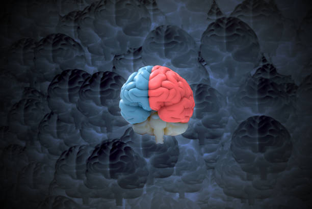 istock 3D rendering crowd of colorful and negative human brains illustration 1283746812