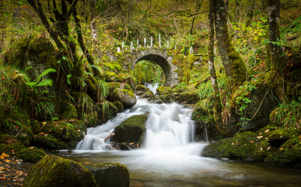 Forest waterfall The fairy bridge of Glen Creran, Scottish highlands argyll and bute stock pictures, royalty-free photos & images