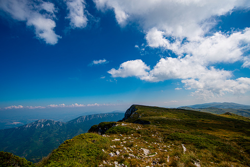 Trem top, of Dry Mountain or Suva Planina  , Serbia