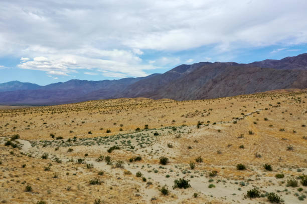 istock Anza-Borrego Desert State Park - California 1283749942