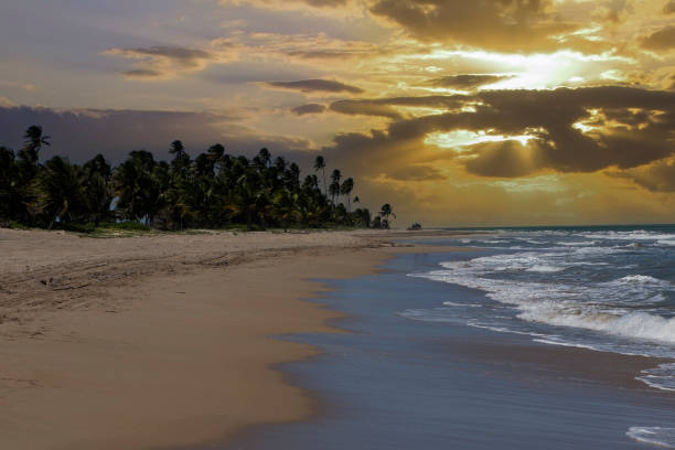 Sunset in Rio Grande, Puerto Rico stock photo