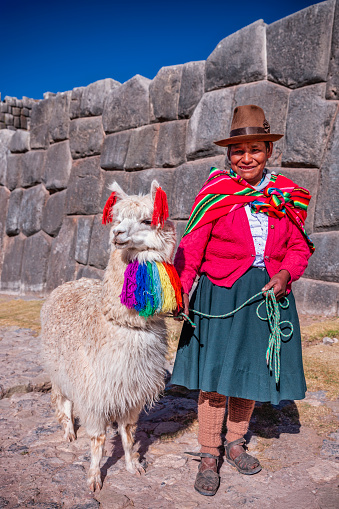 Peruvian woman wearing national clothing posing with llama in Sacsayhuamán near Cuzco. The Sacred Valley of the Incas or Urubamba Valley is a valley in the Andes  of Peru, close to the Inca capital of Cusco and below the ancient sacred city of Machu Picchu. The valley is generally understood to include everything between Pisac  and Ollantaytambo, parallel to the Urubamba River, or Vilcanota River or Wilcamayu, as this Sacred river is called when passing through the valley. It is fed by numerous rivers which descend through adjoining valleys and gorges, and contains numerous archaeological remains and villages. The valley was appreciated by the Incas due to its special geographical and climatic qualities. It was one of the empire's main points for the extraction of natural wealth, and the best place for maize production in Peru.