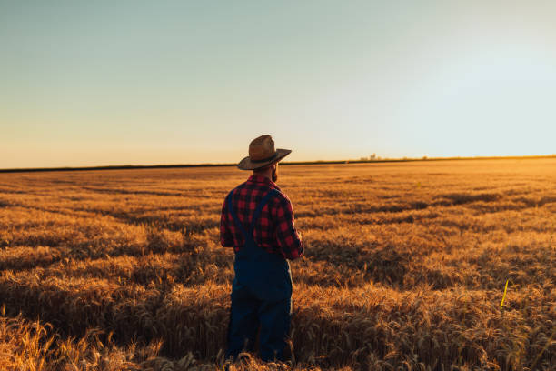 istock Working the land is tough but rewarding 1283752185