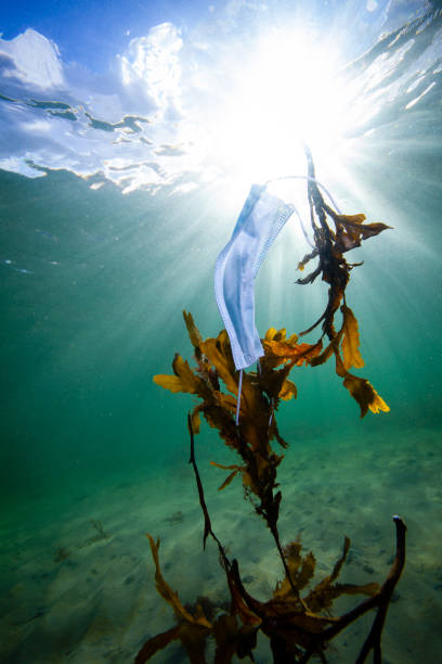 istock Face mask pollution in the ocean 1283752273