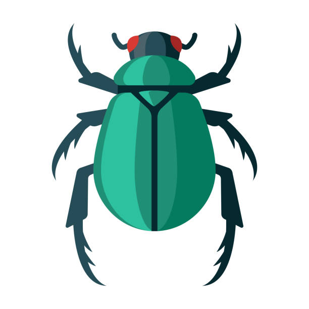 Scarab Beetle Icon on Transparent Background A flat design icon on a transparent background (can be placed onto any colored background). File is built in the CMYK color space for optimal printing. Color swatches are global so it’s easy to change colors across the document. No transparencies, blends or gradients used. beetle stock illustrations