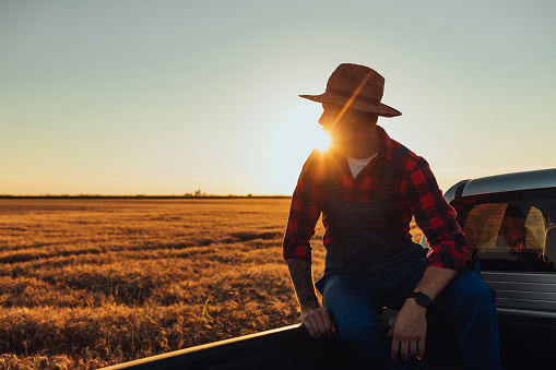 Handsome young farmer sitting back in a car and looking on a wheat field