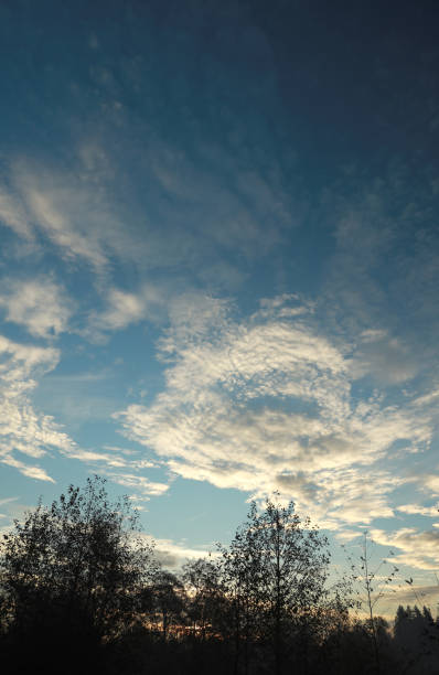 istock Moody Sky over Trees in British Columbia, Canada 1283753580