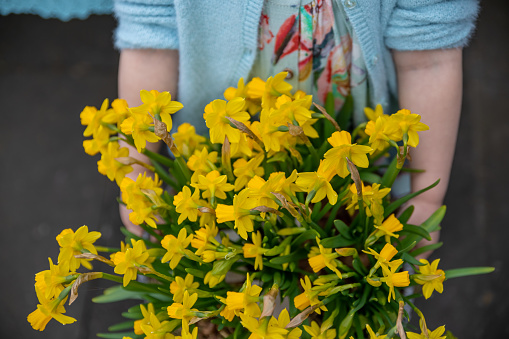 Girl in a turquoise dress holds a pot of daffodils